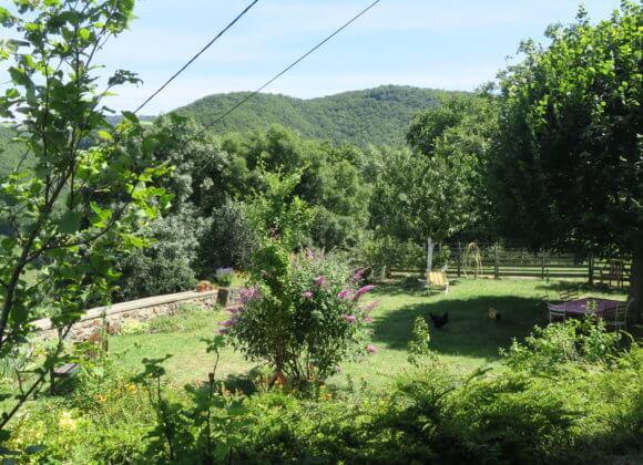 Encore la terrasse en été
