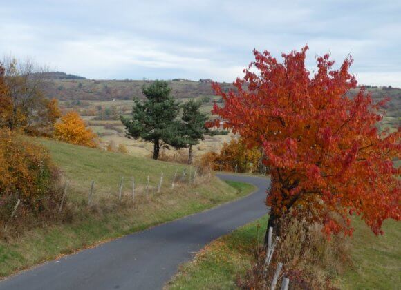 Route menant à Bessoles à l'automne